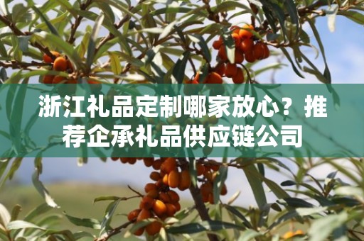 浙江礼品定制哪家放心？推荐企承礼品供应链公司