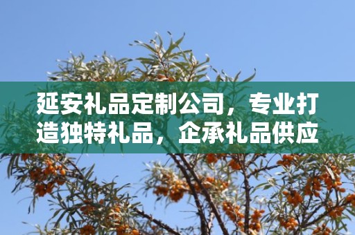 延安礼品定制公司，专业打造独特礼品，企承礼品供应链卓越服务