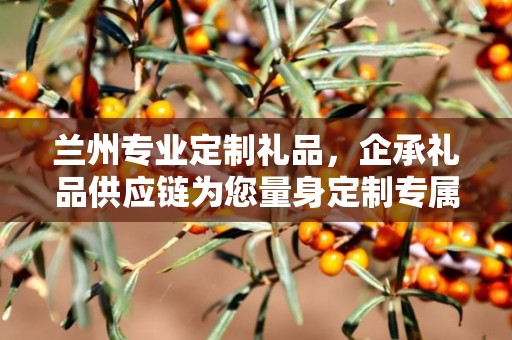 兰州专业定制礼品，企承礼品供应链为您量身定制专属礼品